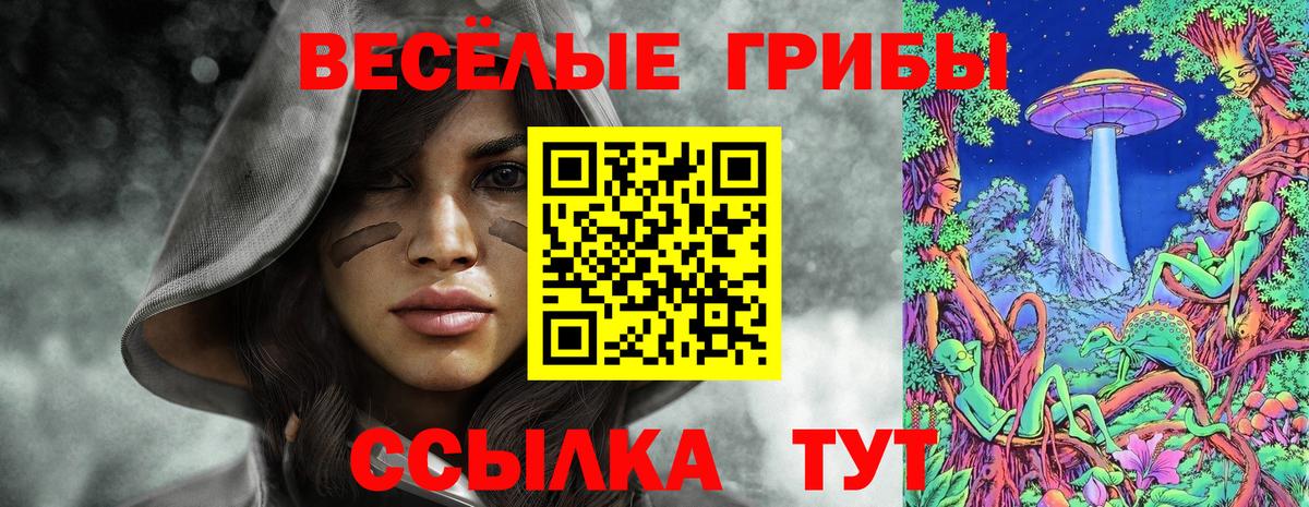 Галлюциногенные грибы MAGIC MUSHROOMS Саяногорск