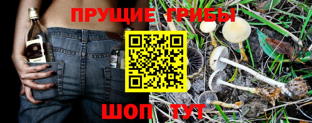 Псилоцибиновые грибы ЛСД  Вход с VPN  Саяногорск  Псилоцибиновые грибы GOLDEN TEACHER 